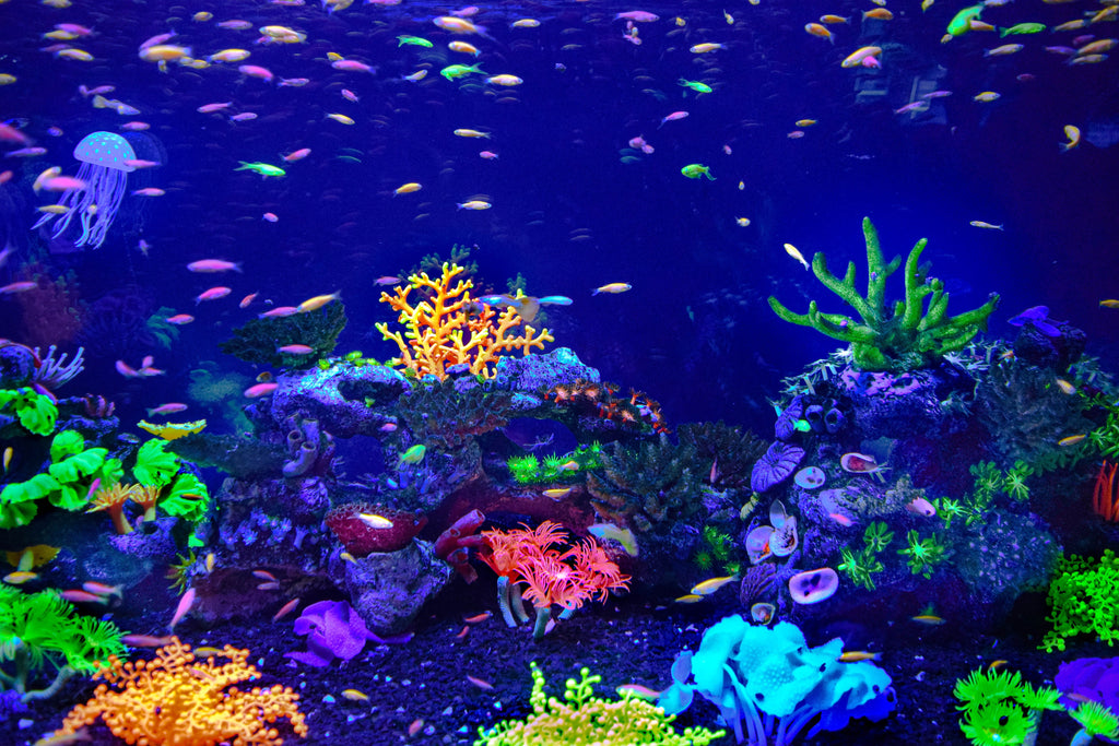 Comment nettoyer les plantes artificielles de son aquarium ?