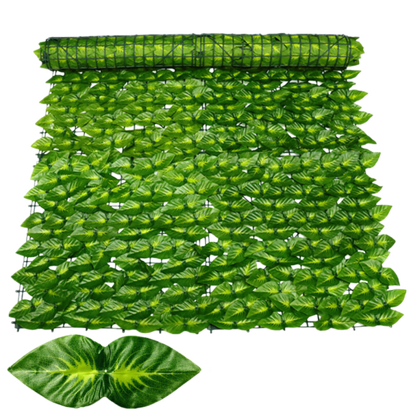 Mur végétal feuille de perilla verte