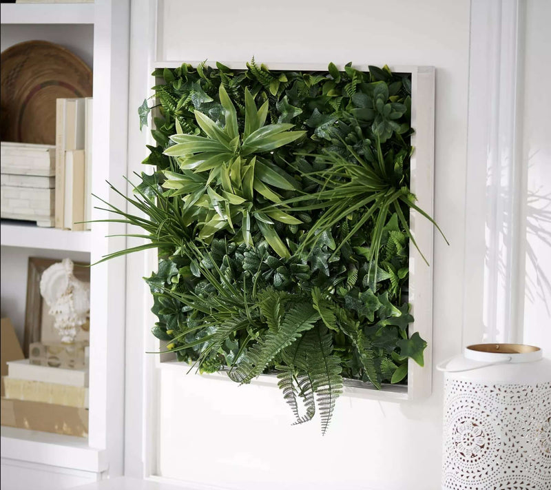 Végétal Indoor - Mur végétal intérieur - extérieur, plantes et