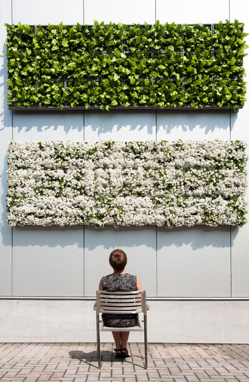Mur Végétal Déco  Les plus beaux murs végétaux