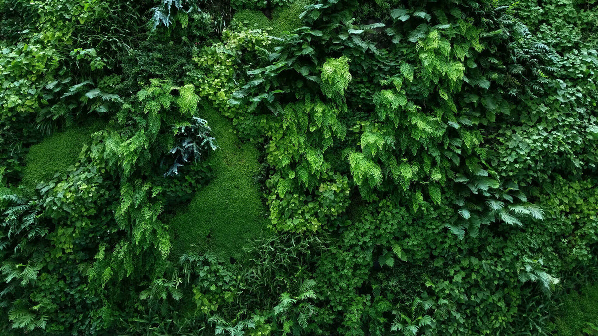 Mur végétal artificiel - Forêt tropicale - Intérieur et extérieur