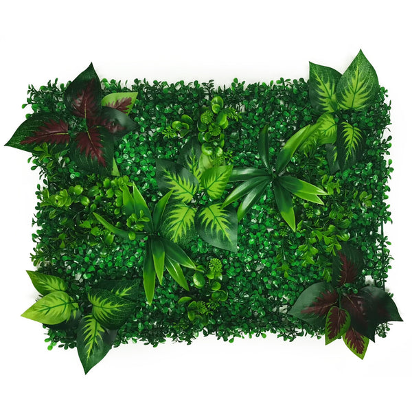 mur végétal combinaison tropical