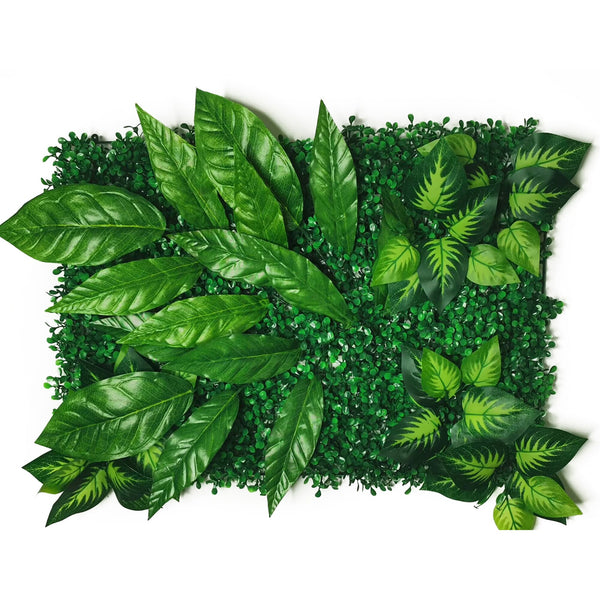 mur végétal combinaison tropical vert
