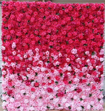 mur végétal de roses dégradé de rose
