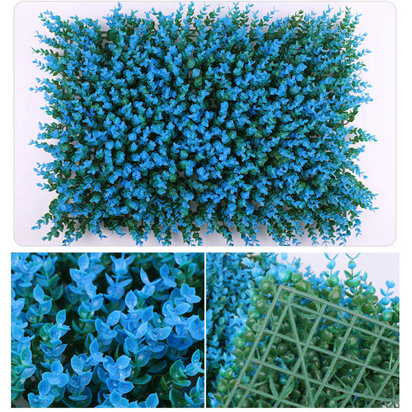 Mur végétal Euonymus fortunei bleu