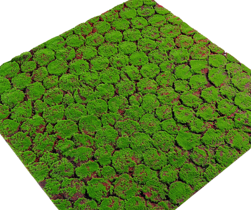 mur végétal lichen mousse rouge