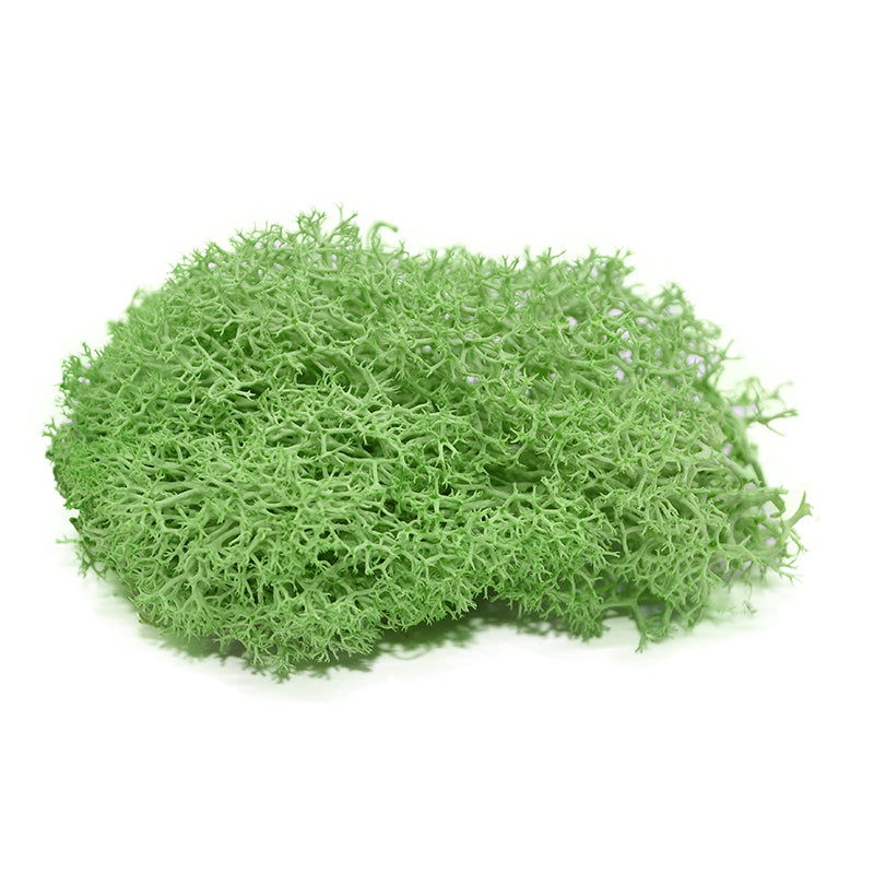 Mur végétal mousse artificiel vert clair
