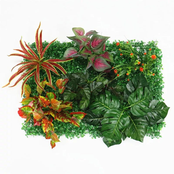 Mur végétal caladium bicolor et monstera