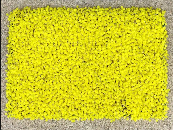 Mur végétal de buis jaune 