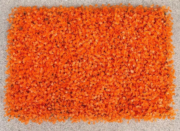 Mur végétal de buis orange 