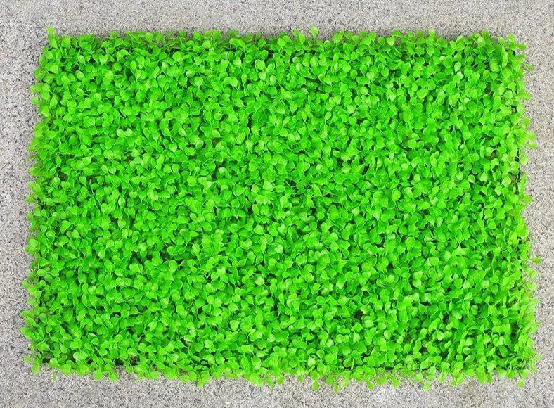 Mur végétal de buis vert clair 