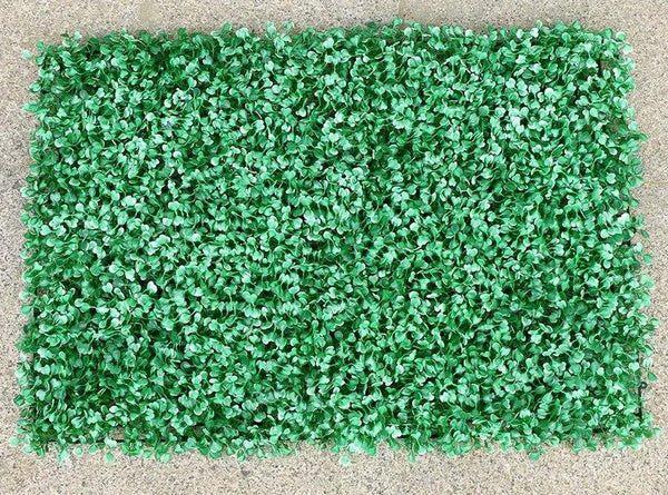 Mur végétal de buis vert et blanc