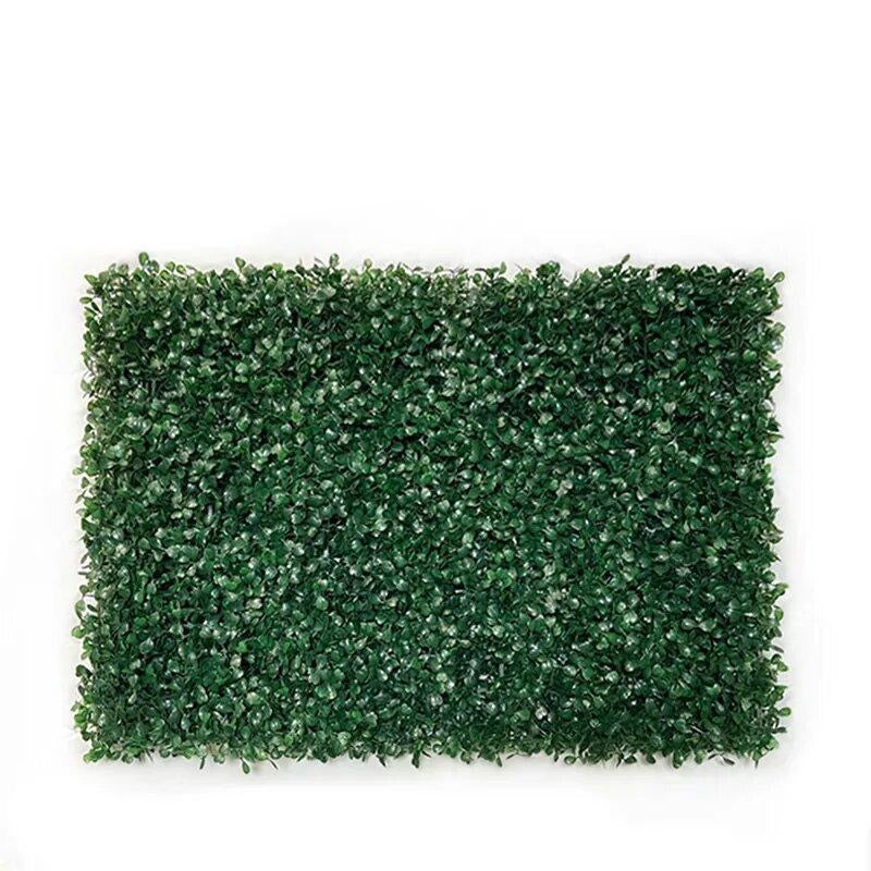 Mur végétal de buis vert sapin