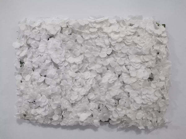 Mur végétal de fleurs blanches