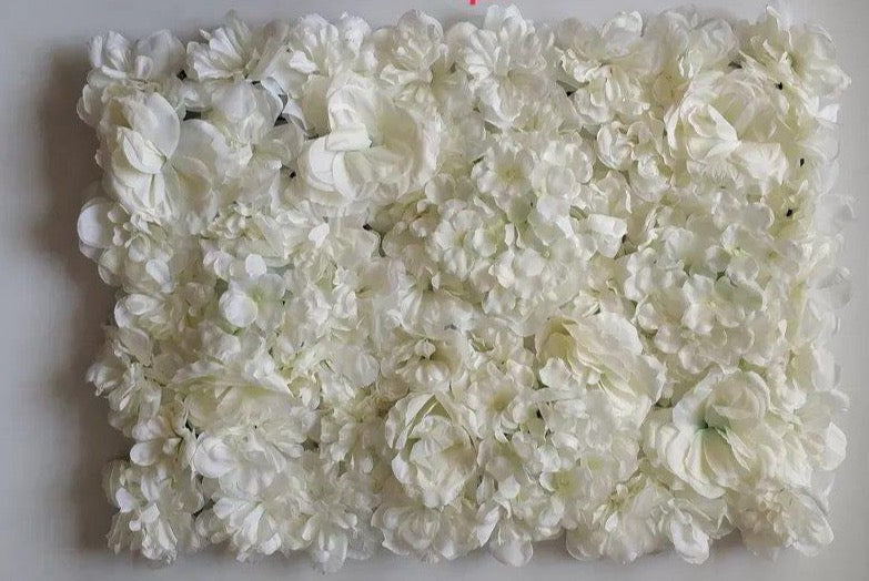 Mur végétal de rosier paysager blanc