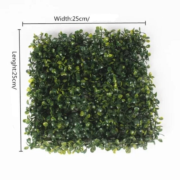 Mur végétal en buis vert foncé carré 