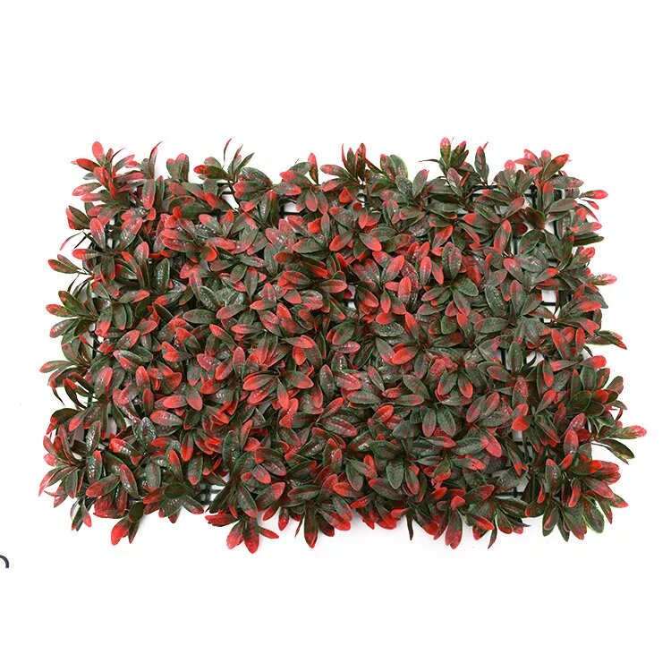 Mur végétal fagraea ceilanica rouge