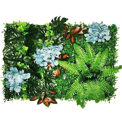 Mur végétal hortensia