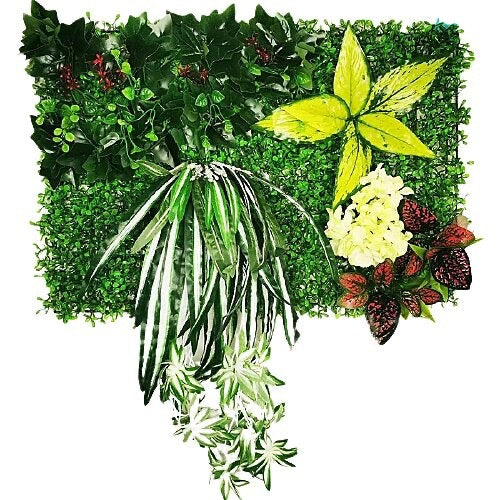 Mur végétal hortensia blanc et buis