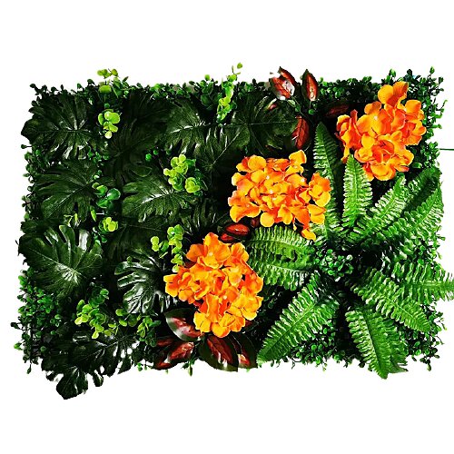 Mur végétal kalanchoé de blossfeld orange 