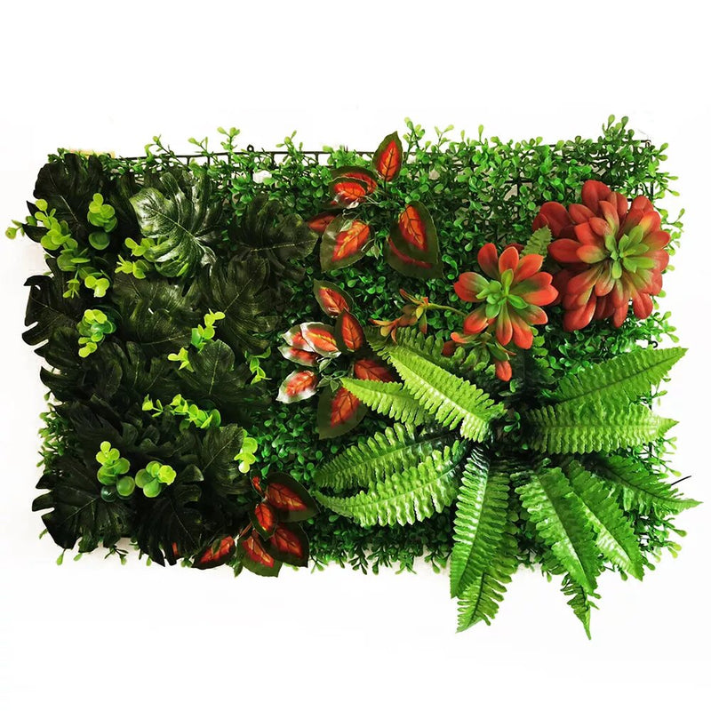 Mur végétal plante succulente et monstera    