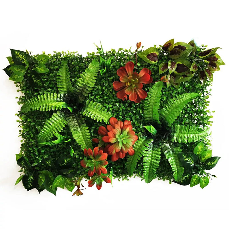 Mur végétal plante succulente et plectranthe  