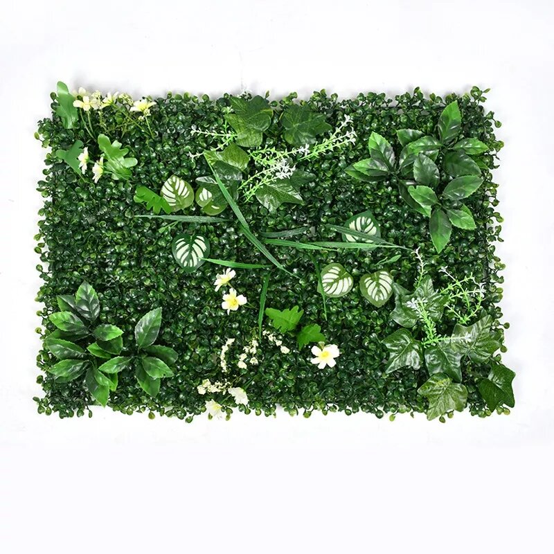 Mur végétal stellaire holostée