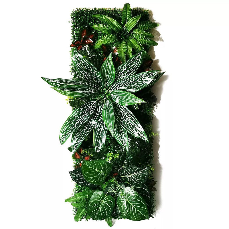    mur vegetal calathea sanderiana 40x120cm